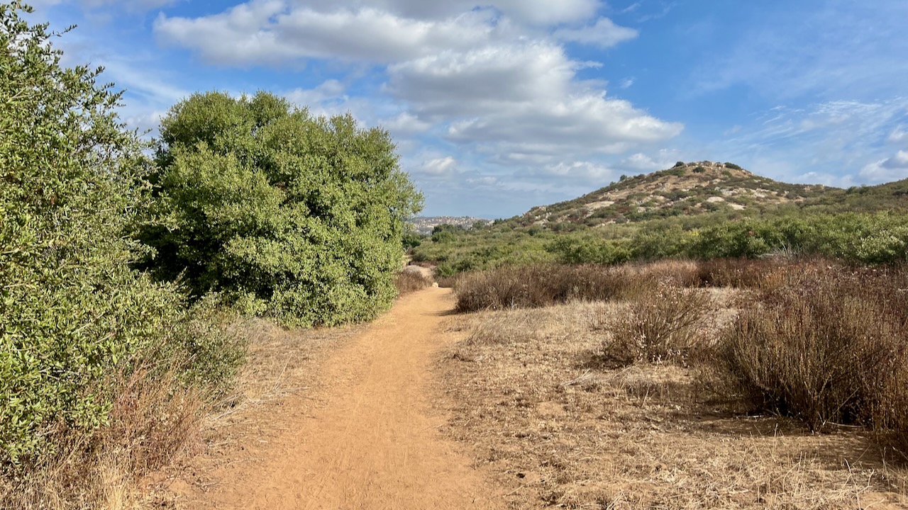 Trail View