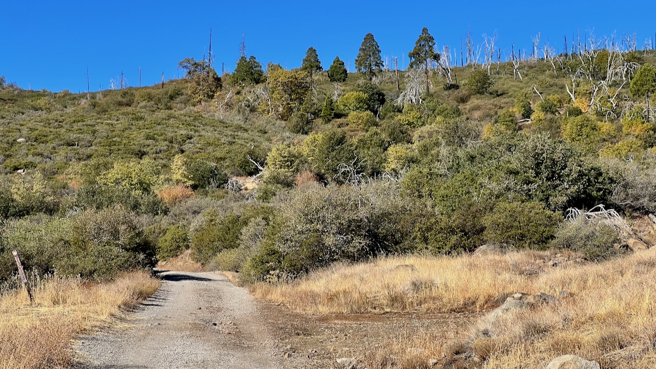 Trail View