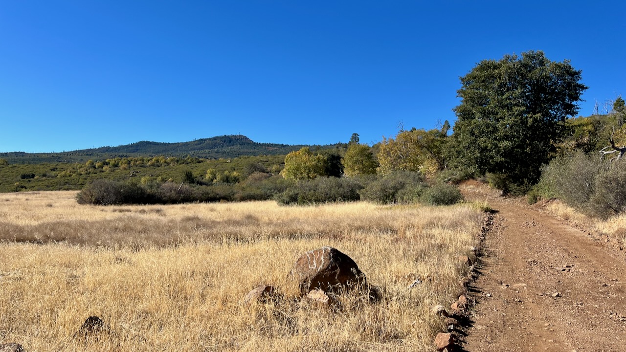 Trail View