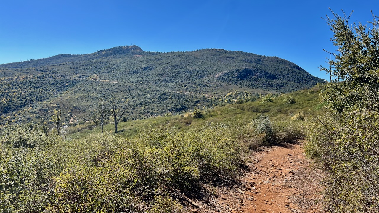 Trail View