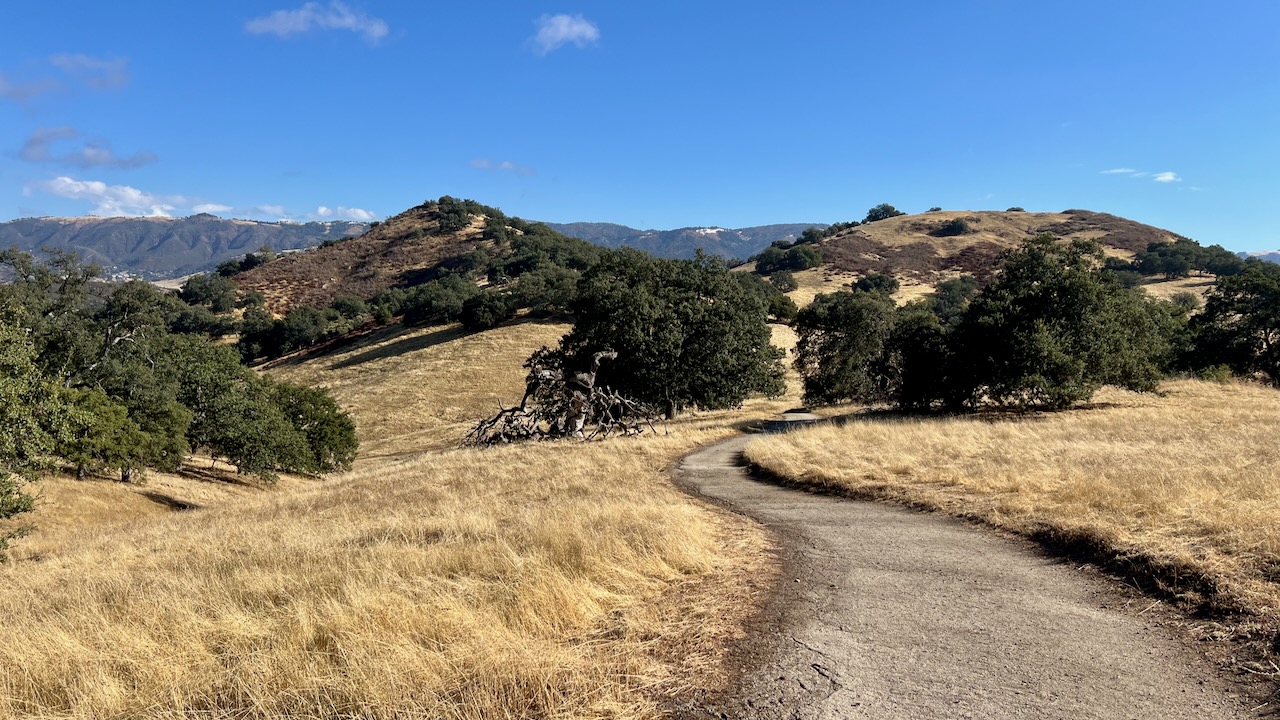 Trail View