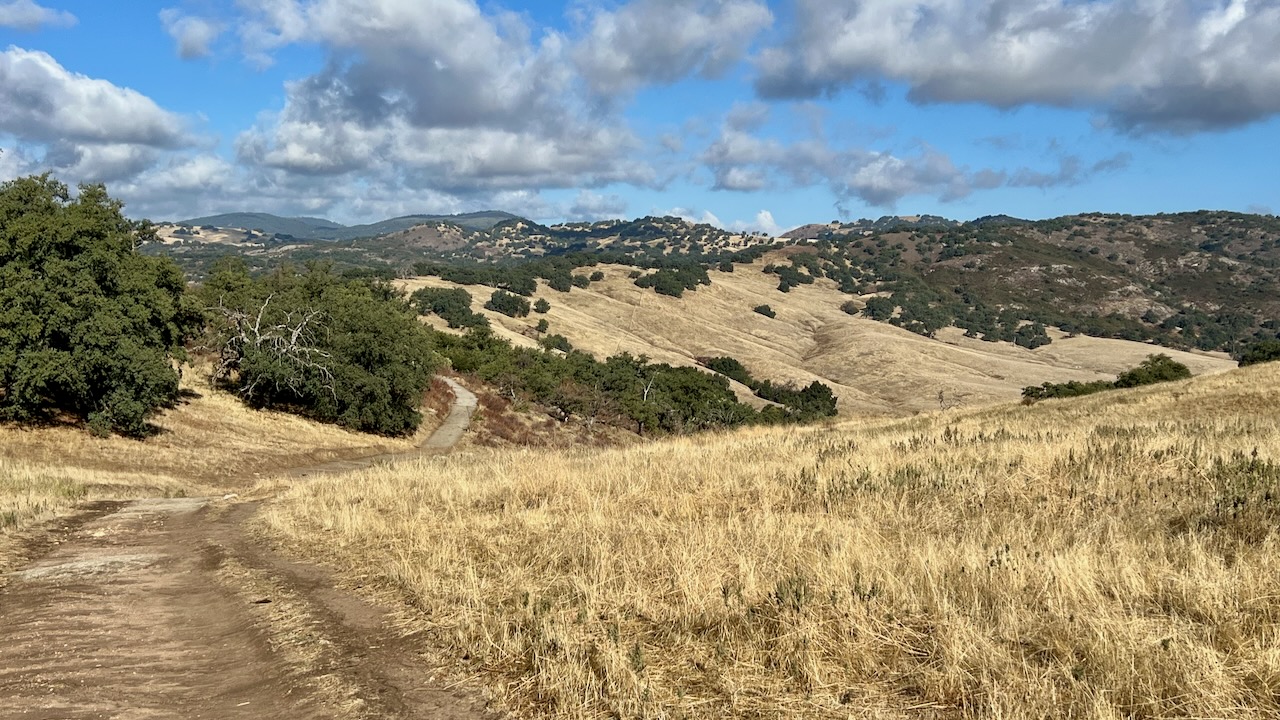 Trail View