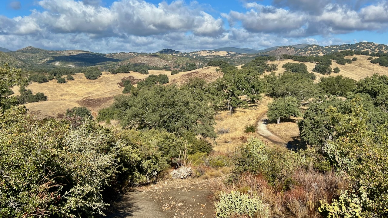 Trail View