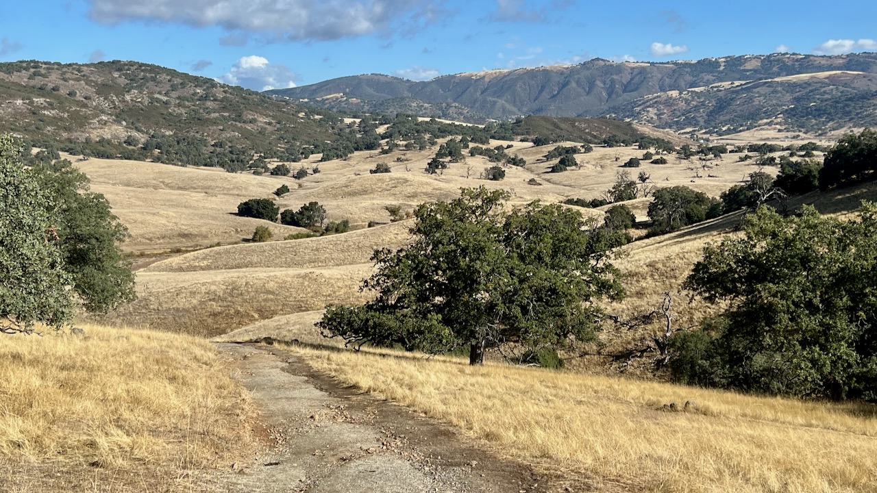 Trail View