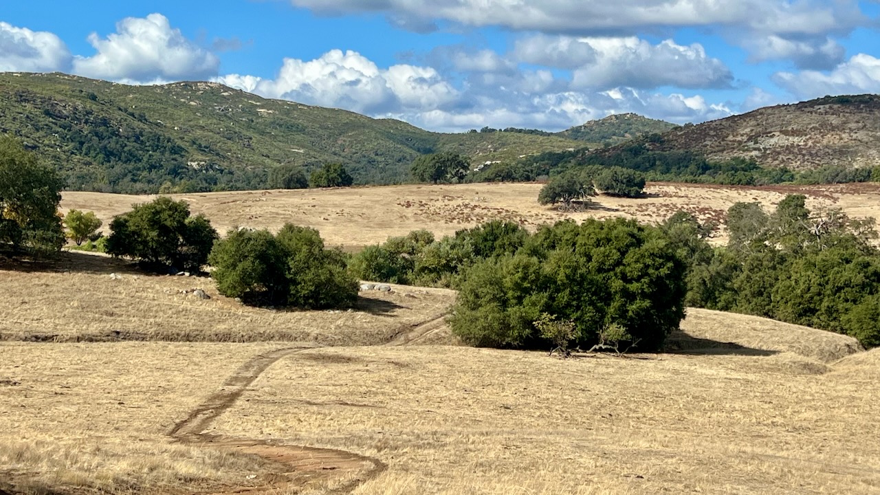 Trail View