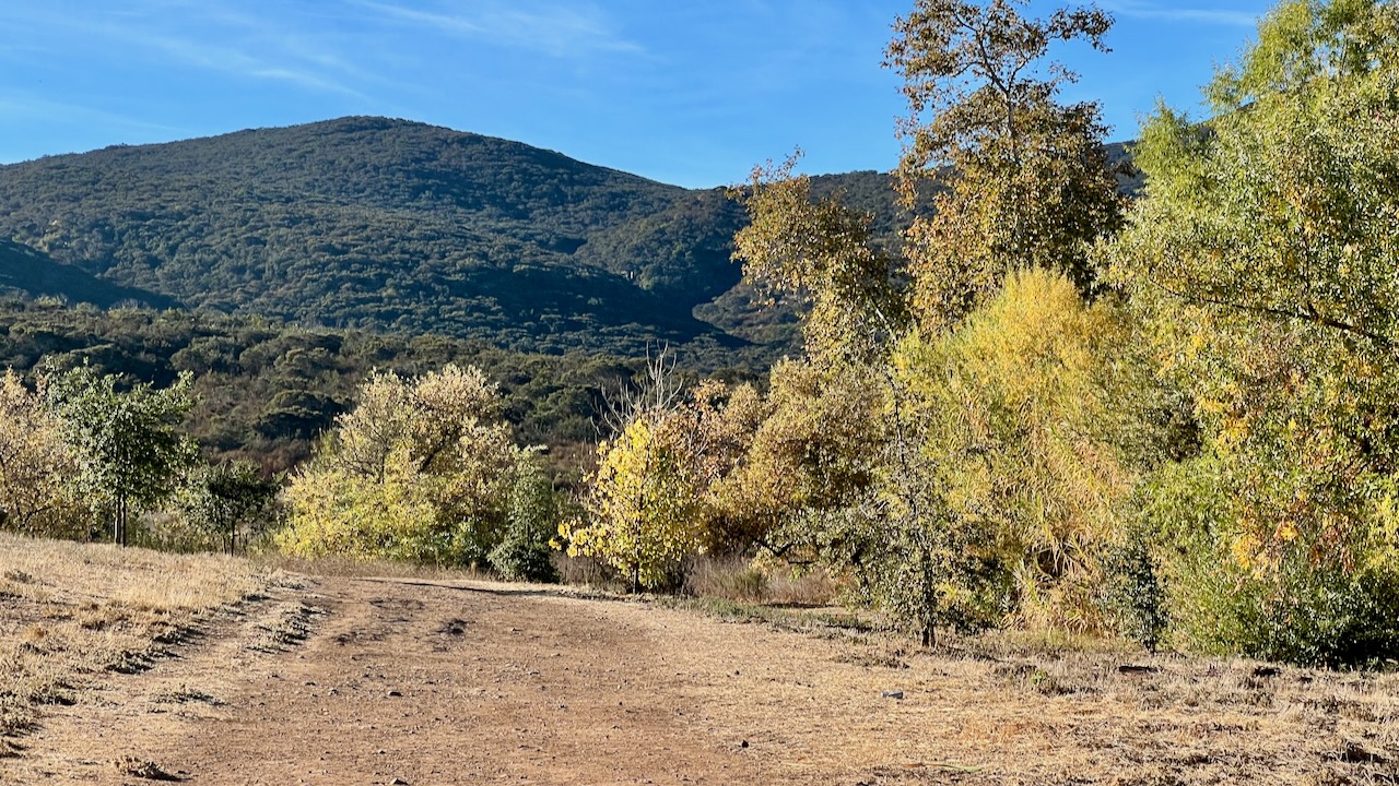 Trail View