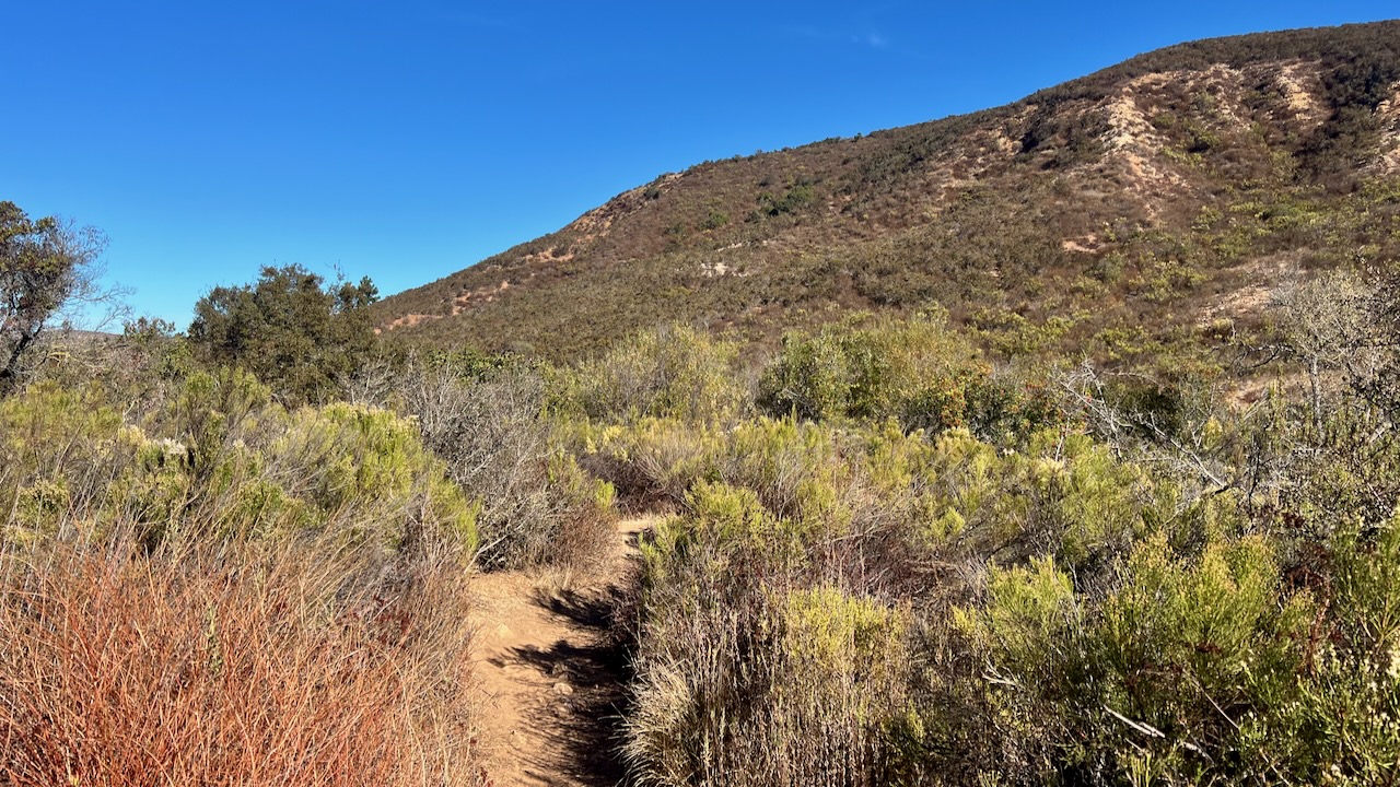 Trail View