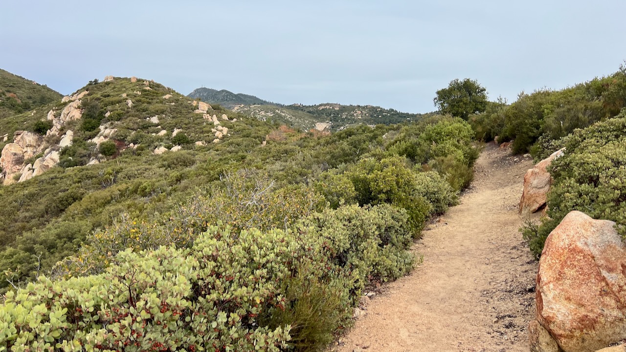 Trail View