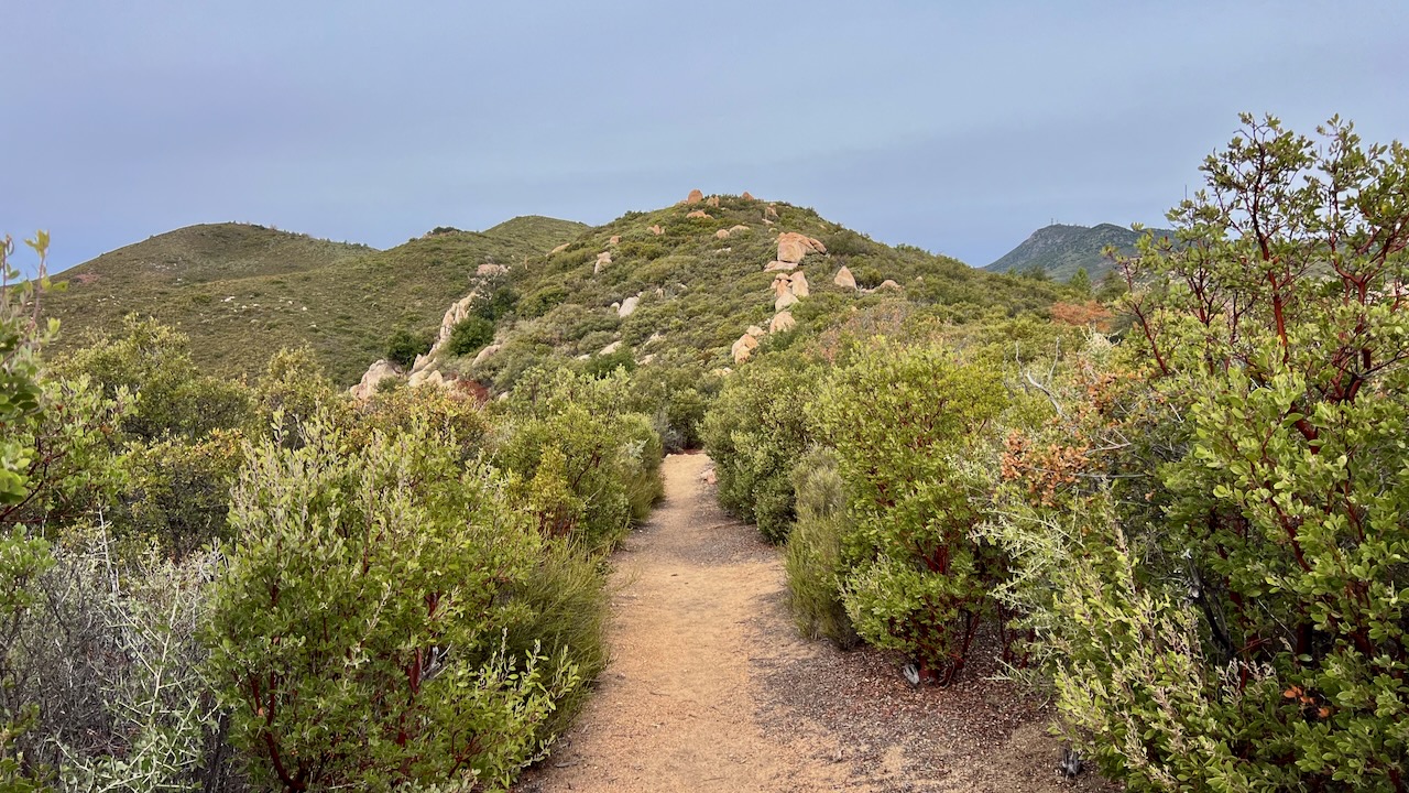 Trail View