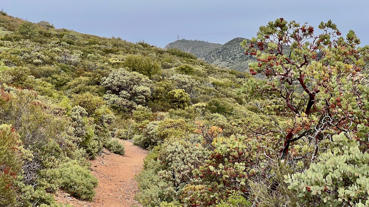 Trail View