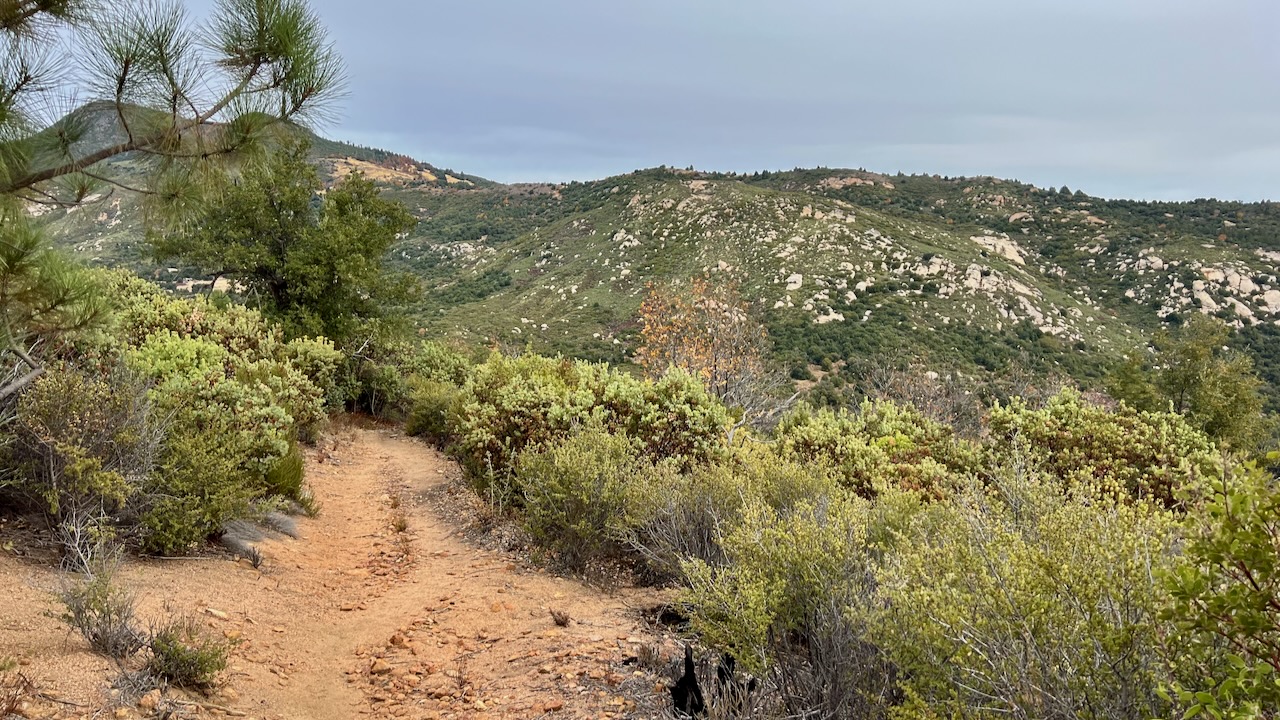 Trail View