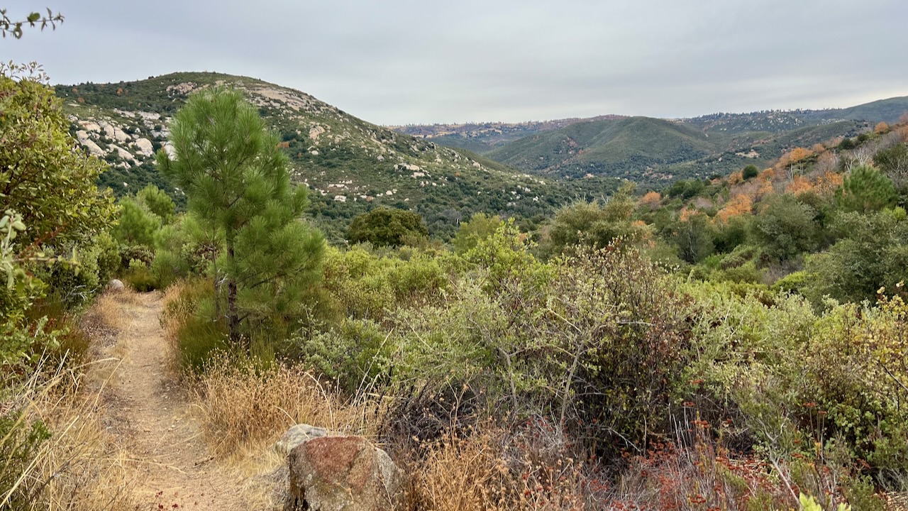 Trail View