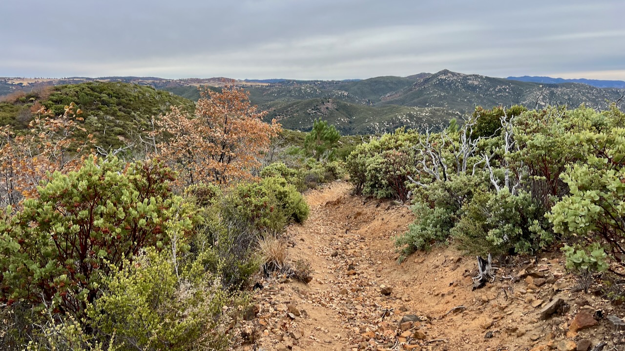 Trail View