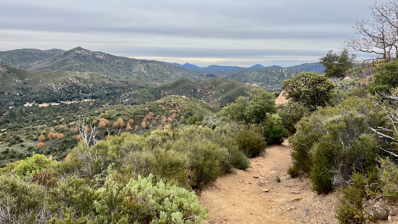 Trail View