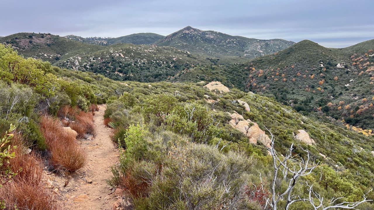 Trail View