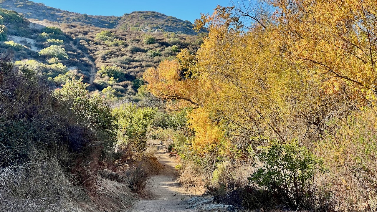 Trail View