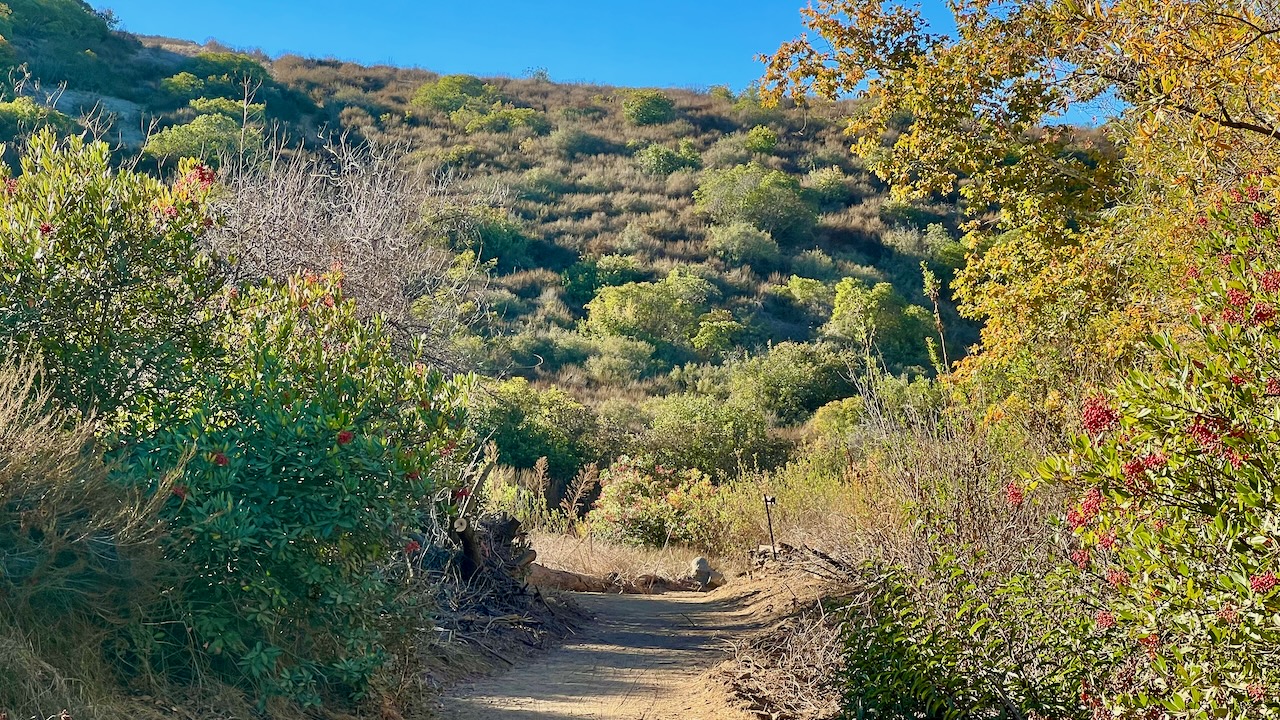 Trail View