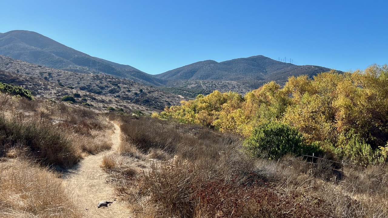 Trail View