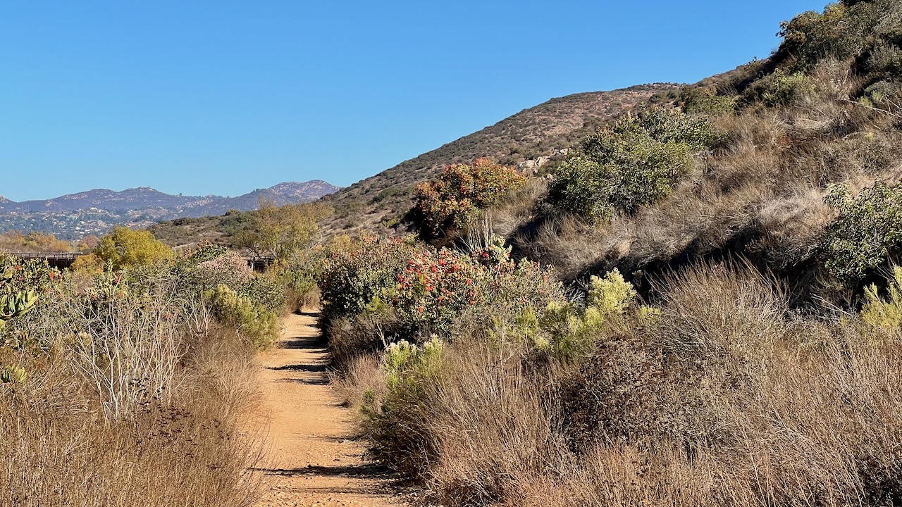 Trail View