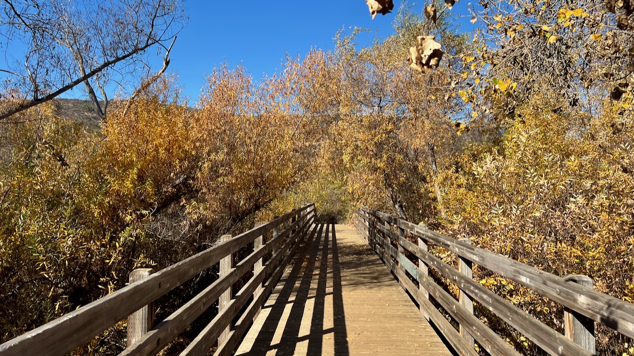 Trail View