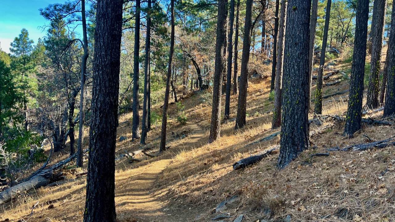 Trail View