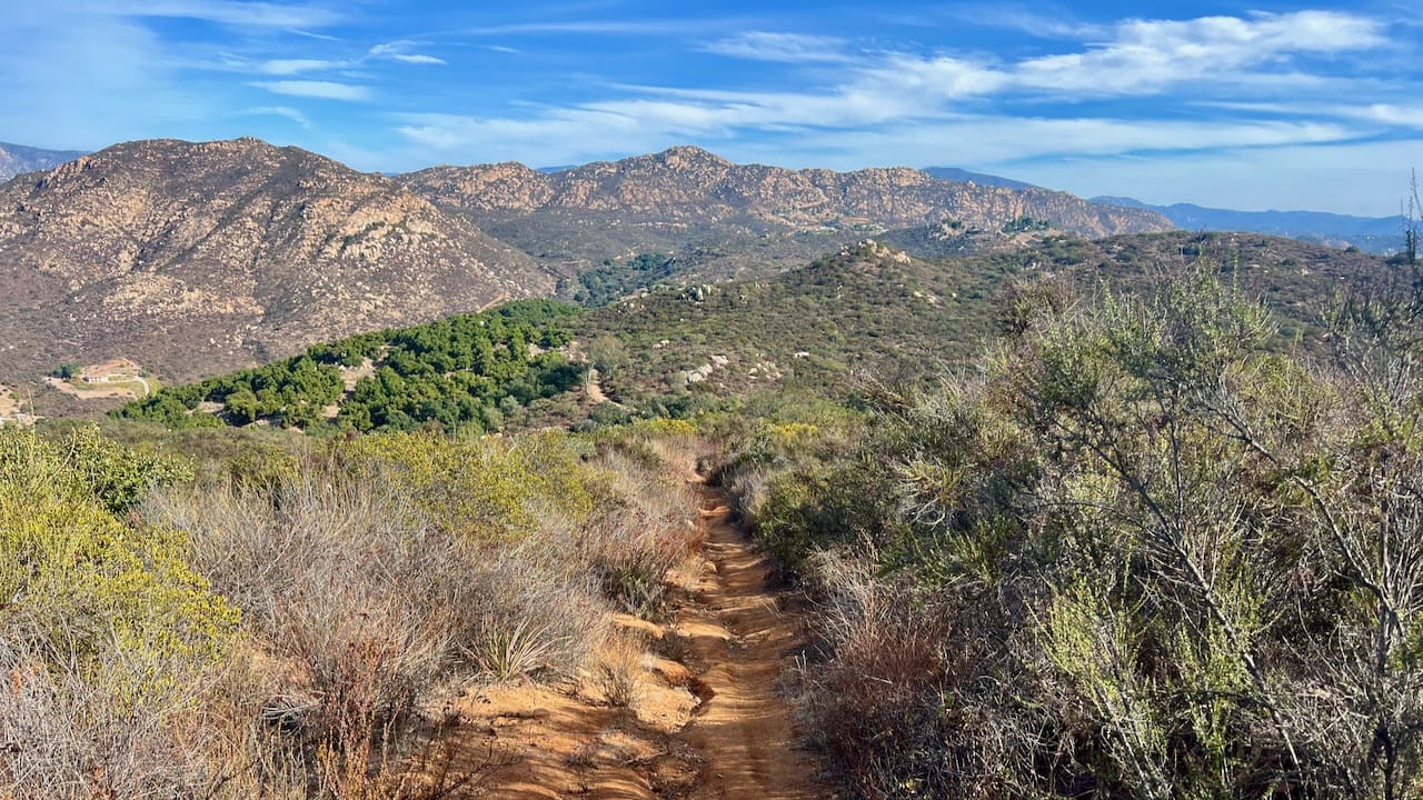 Trail View