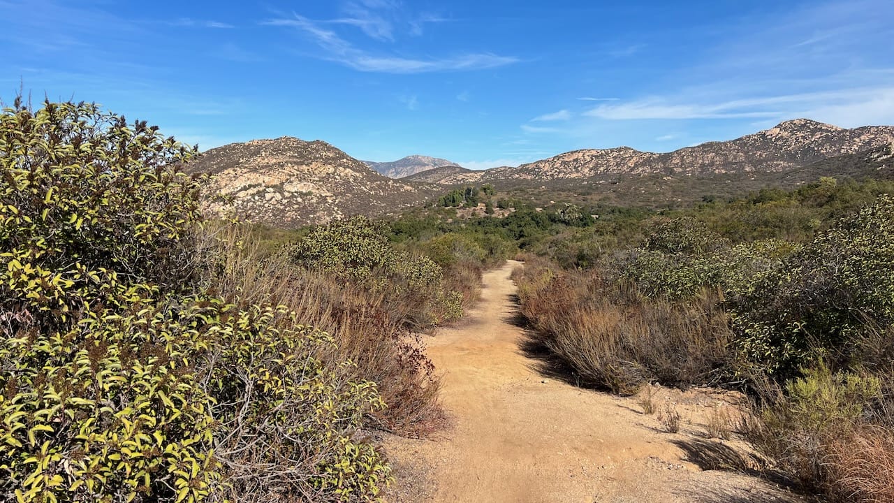 Trail View