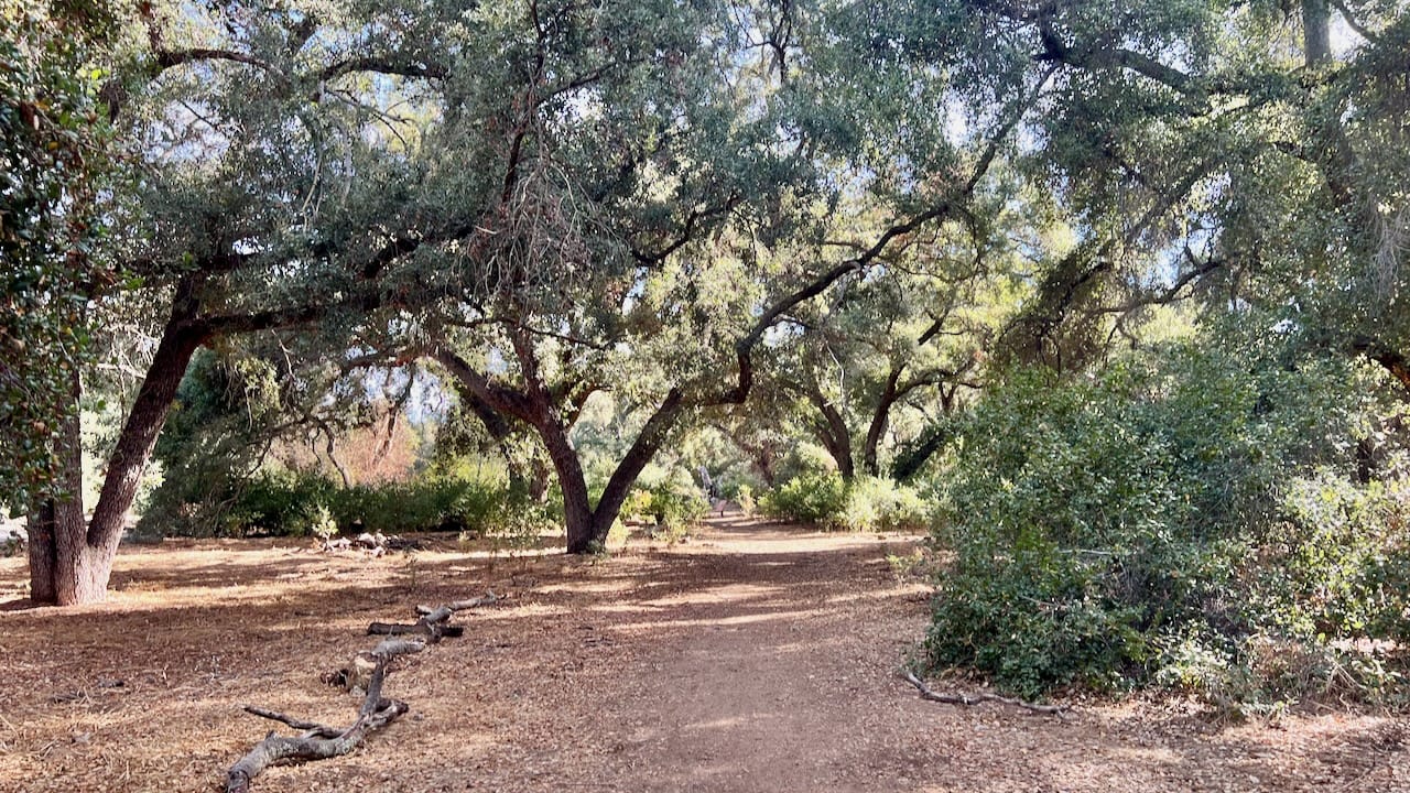 Trail View