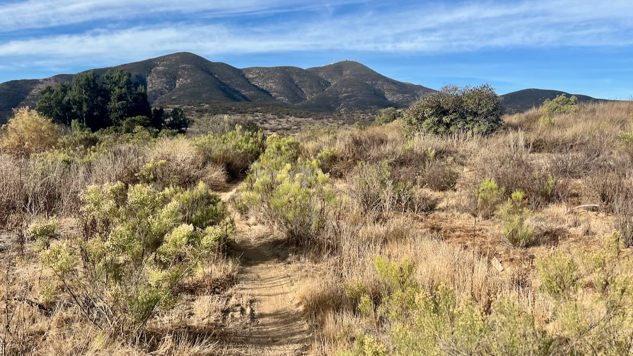 Trail View