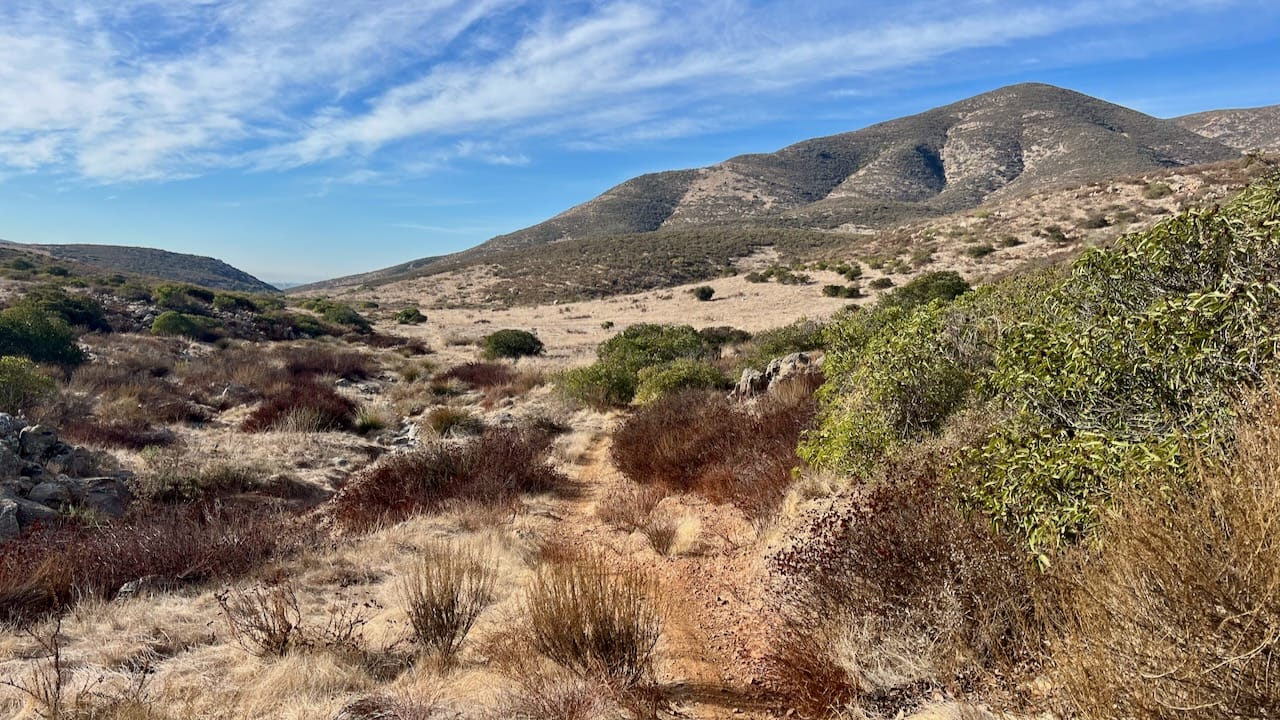 Trail View