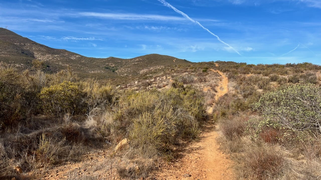 Trail View