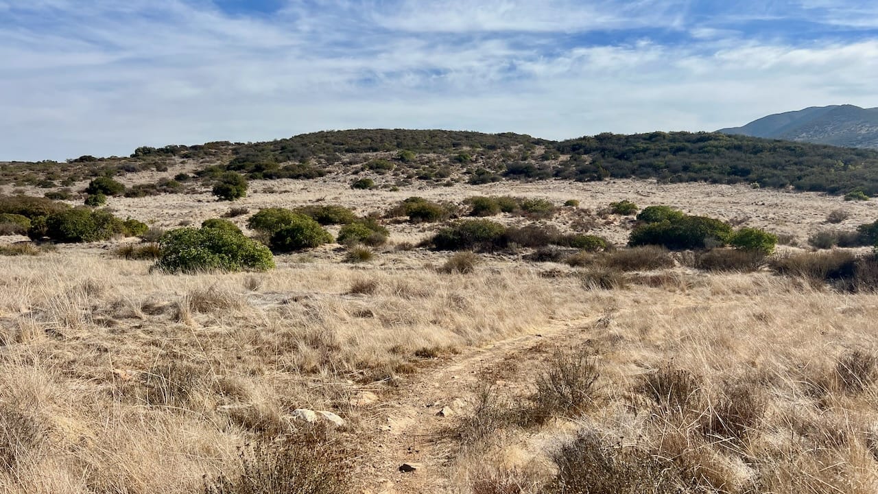 Trail View