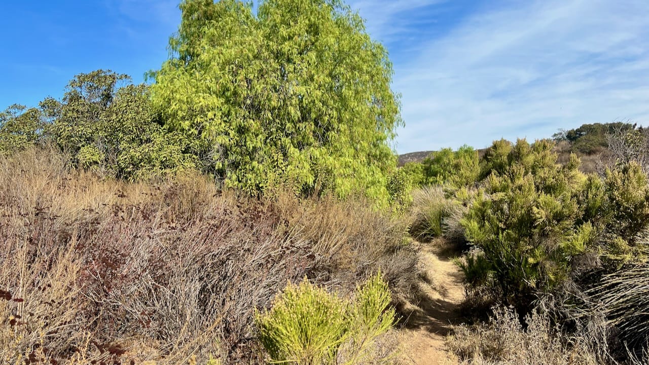 Trail View