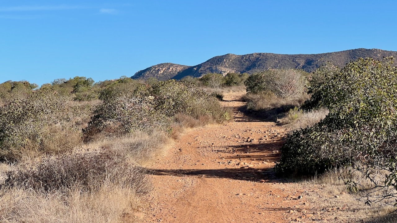 Trail View