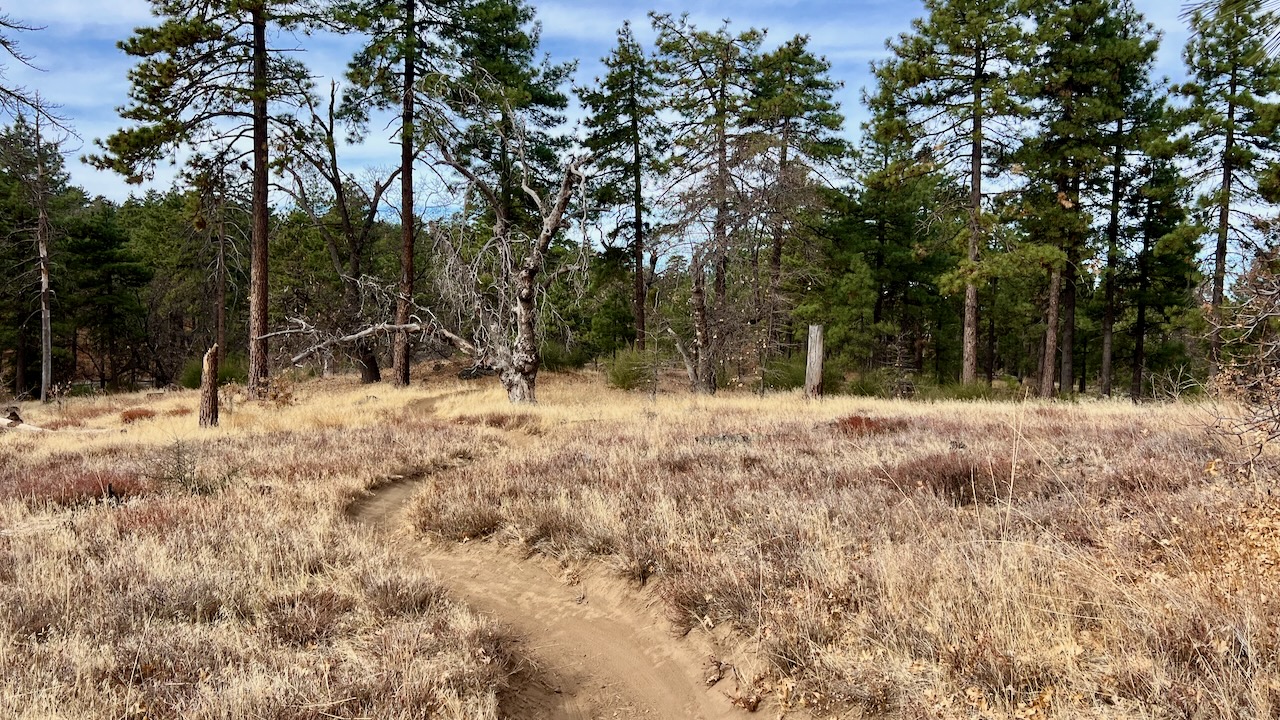 Trail View