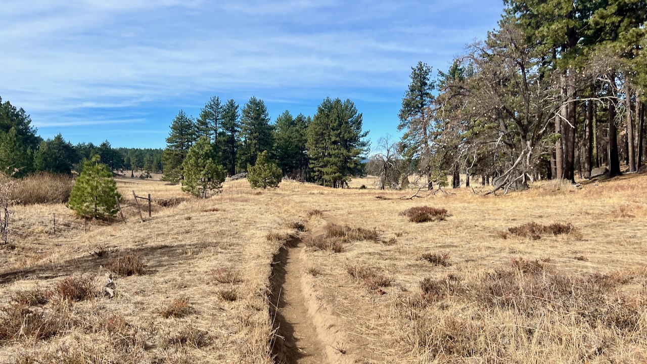 Trail View