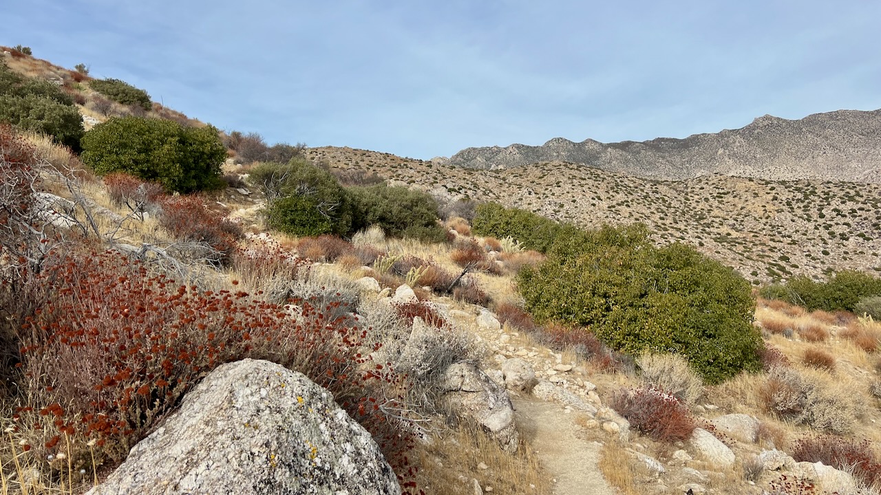 Trail View