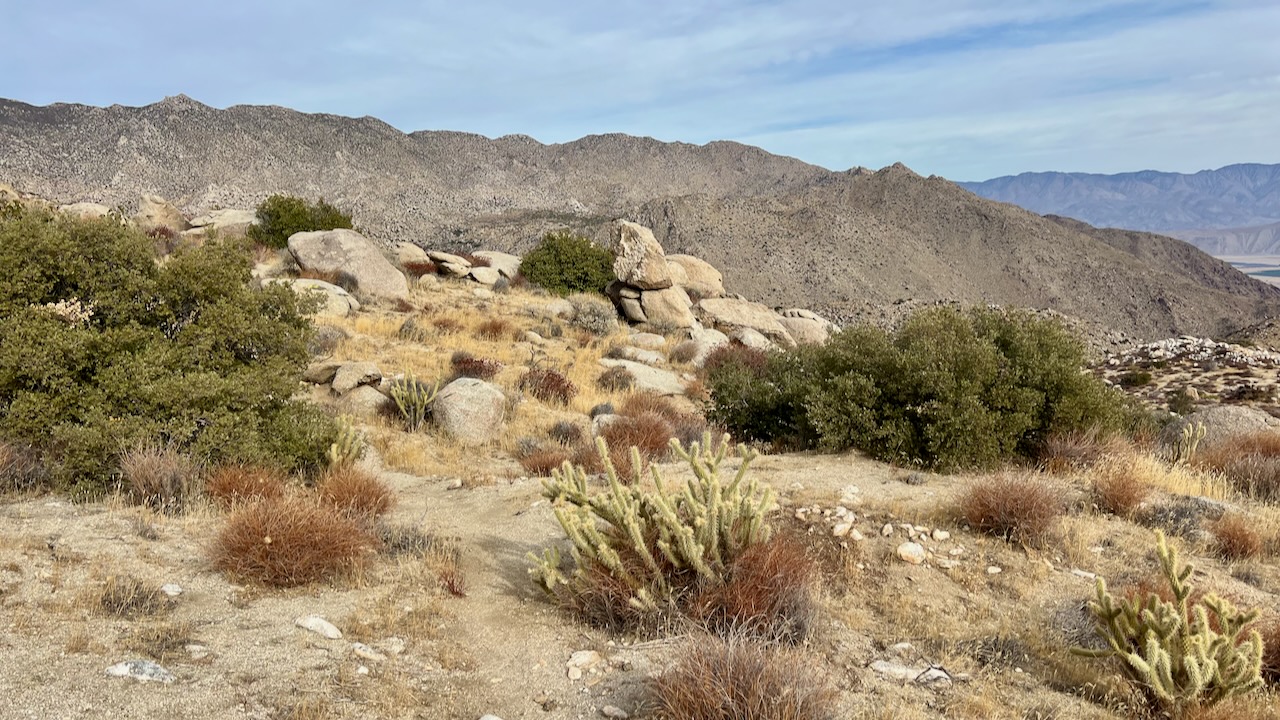 Trail View