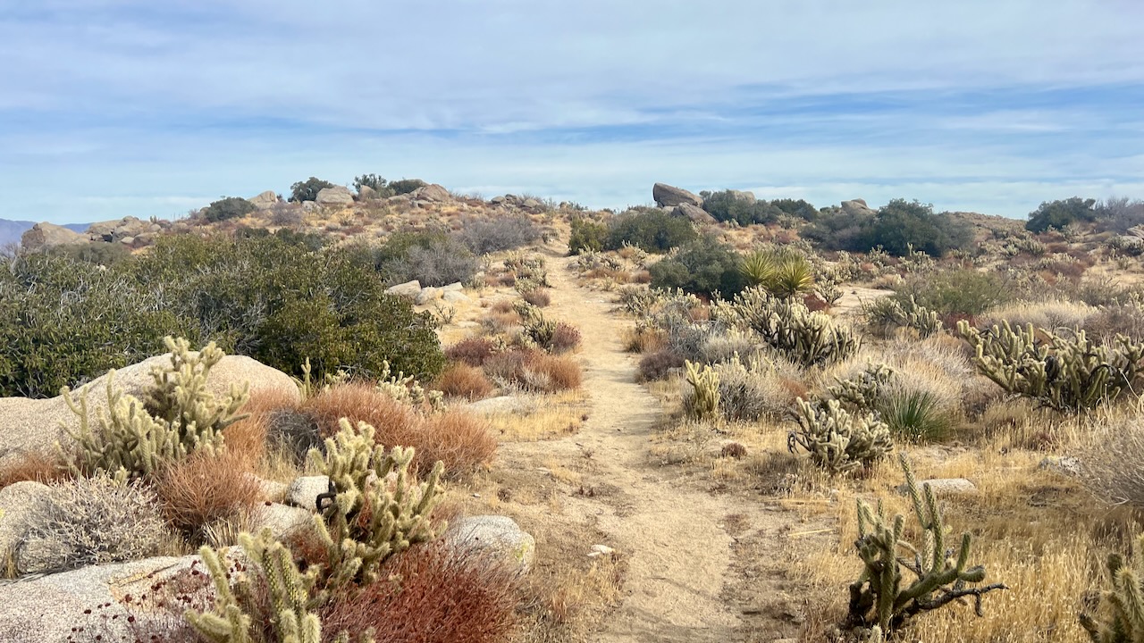 Trail View