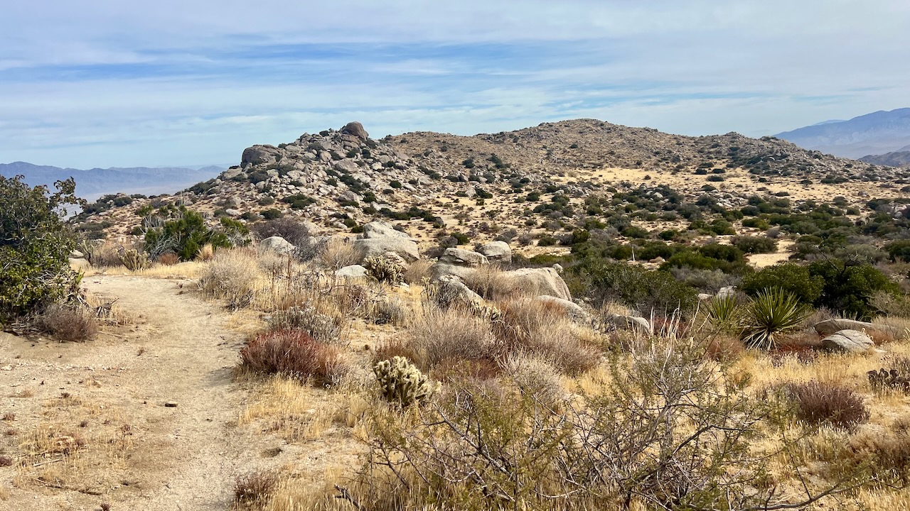 Trail View