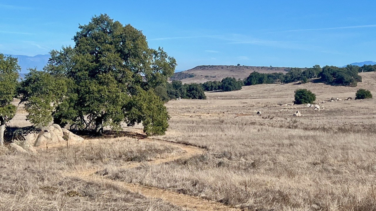 Trail View