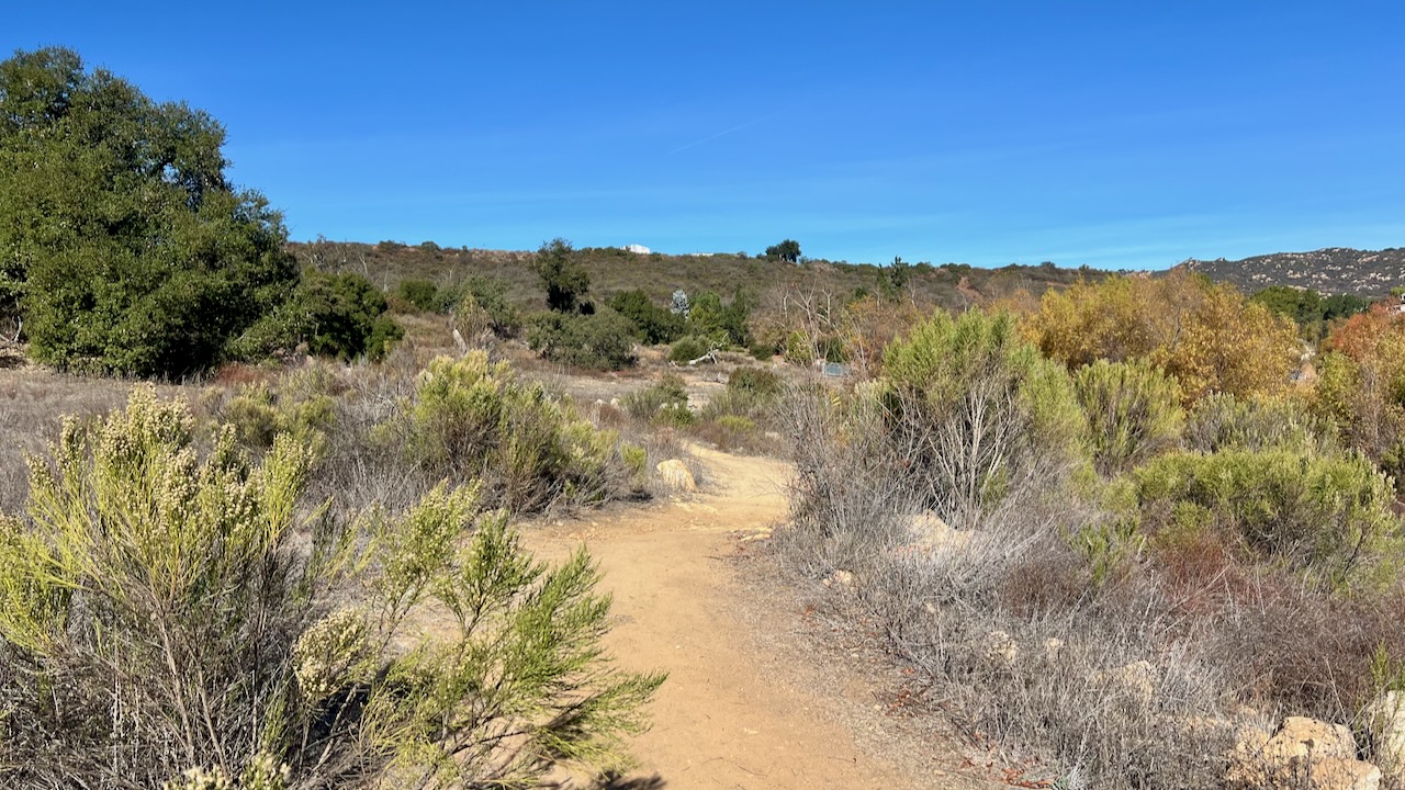 Trail View