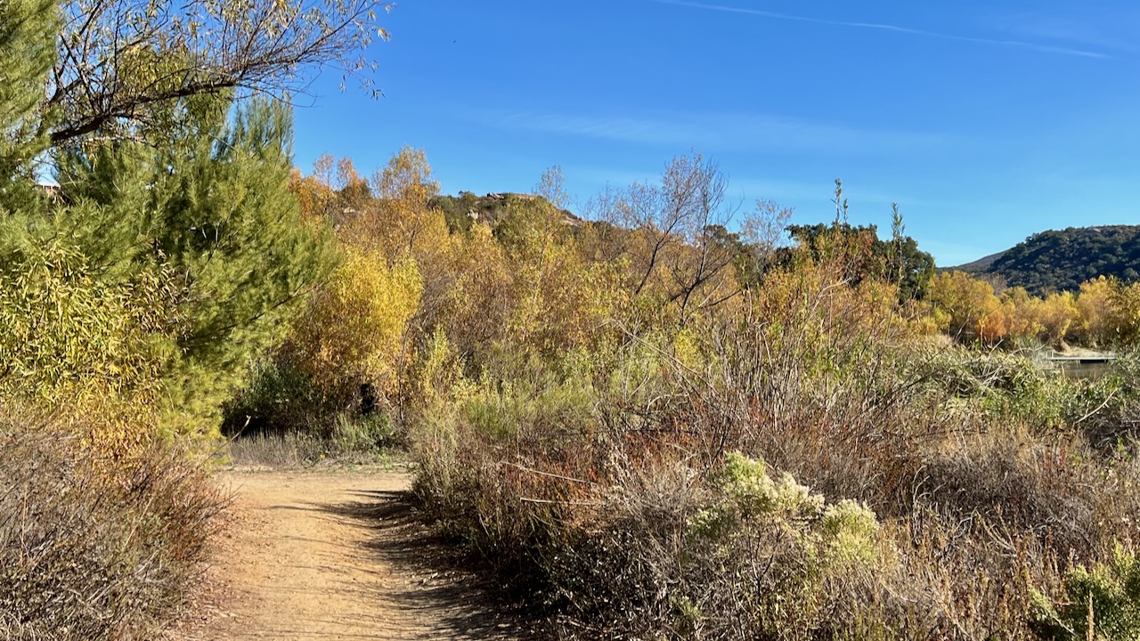 Trail View