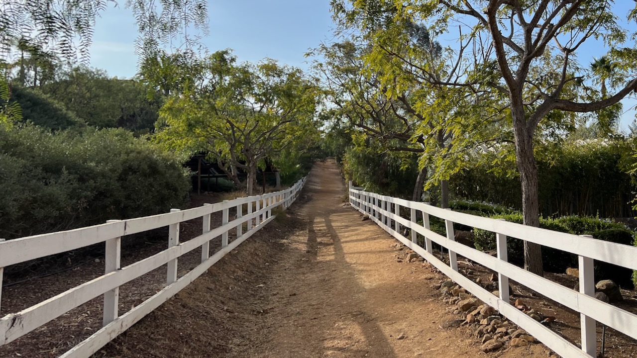 Trail View