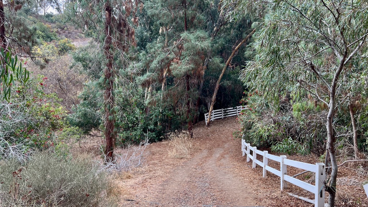 Trail View