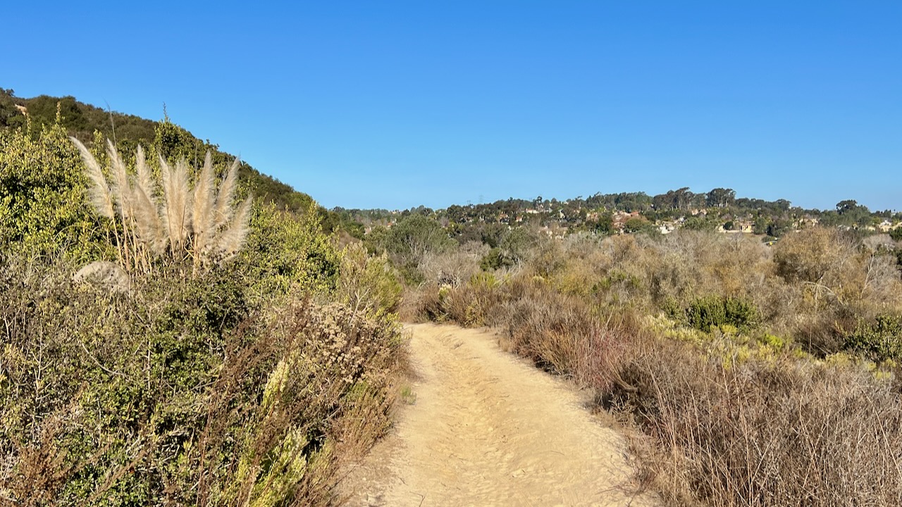 Trail View