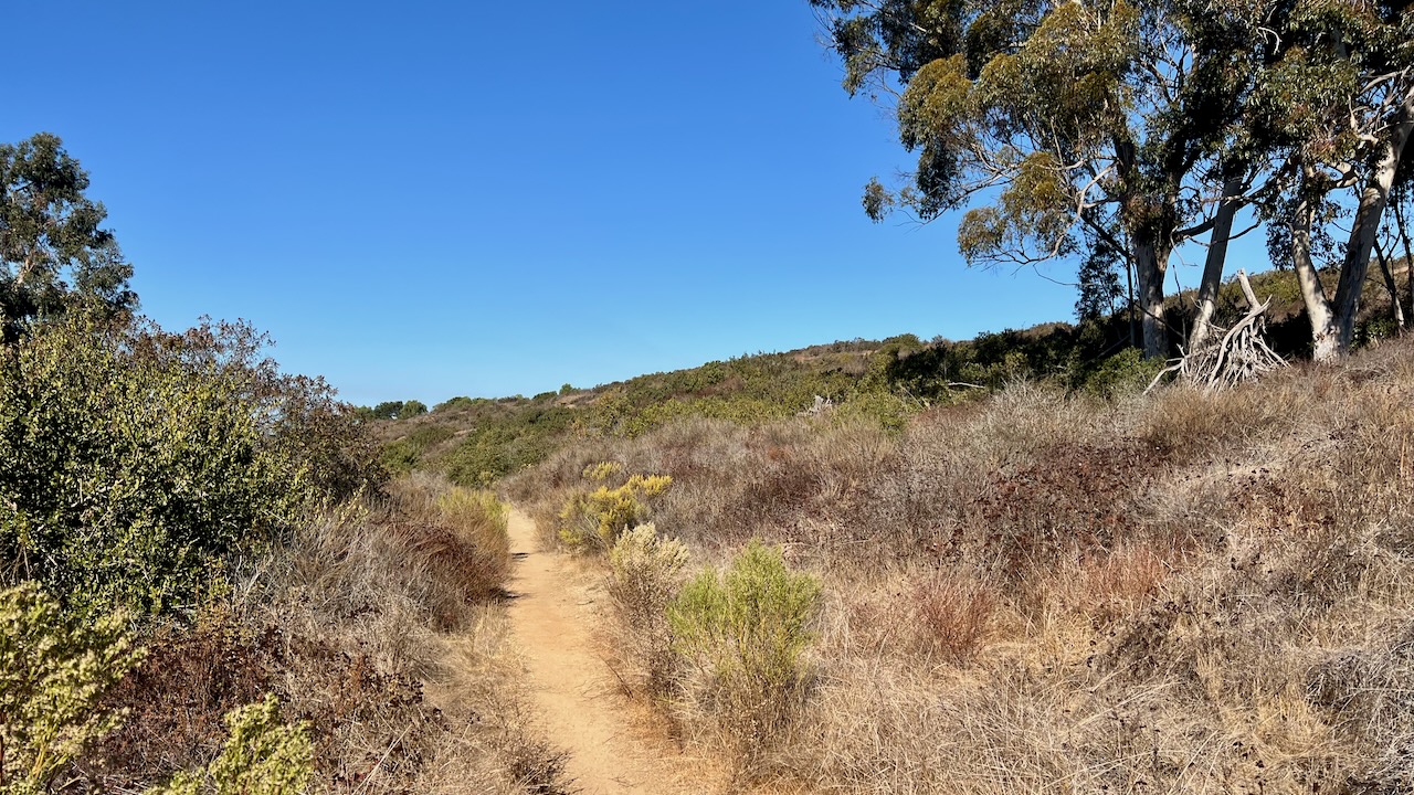 Trail View