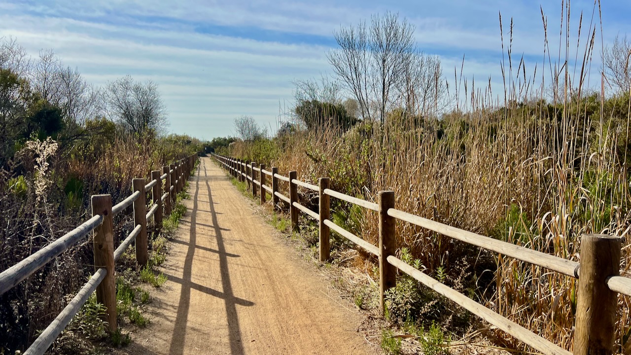 Trail View