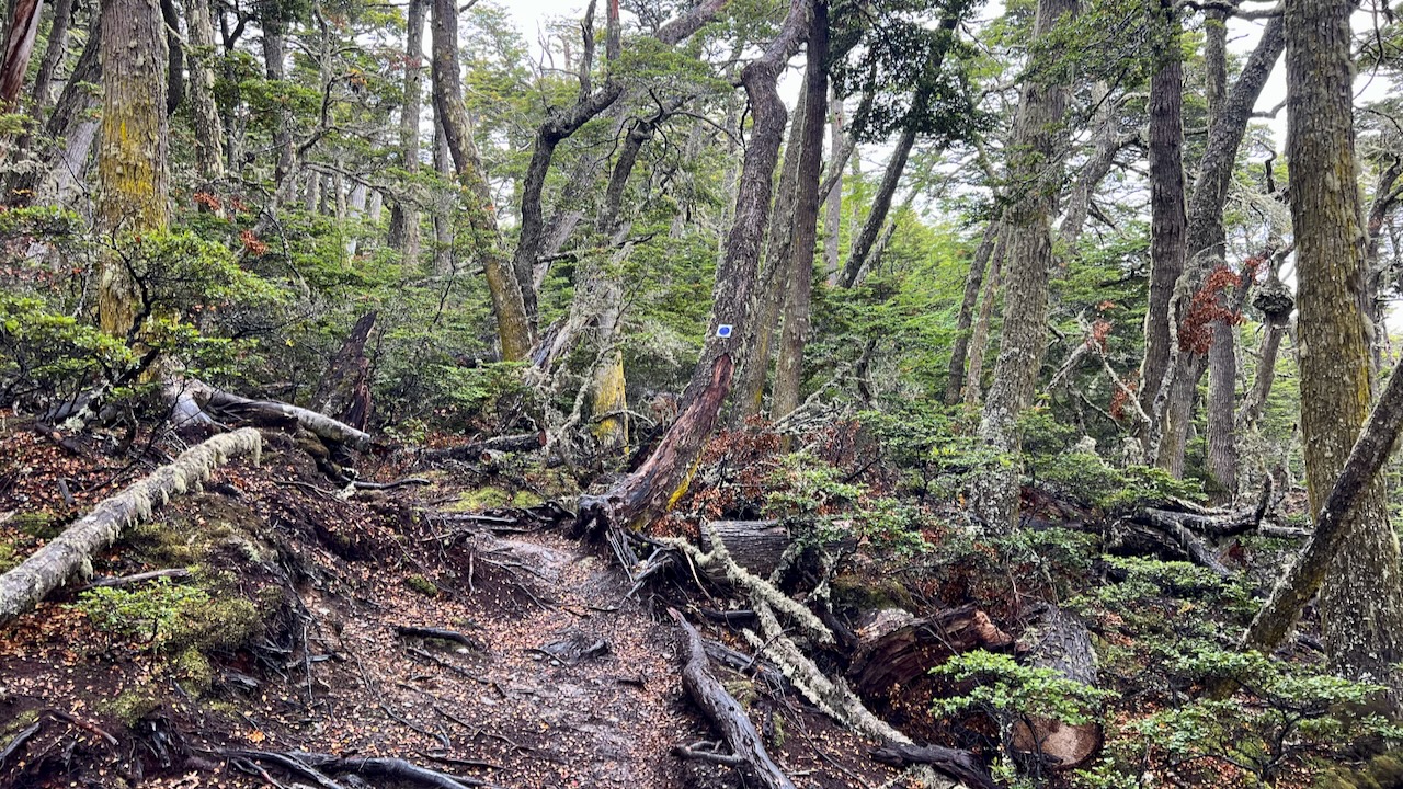 Trail View