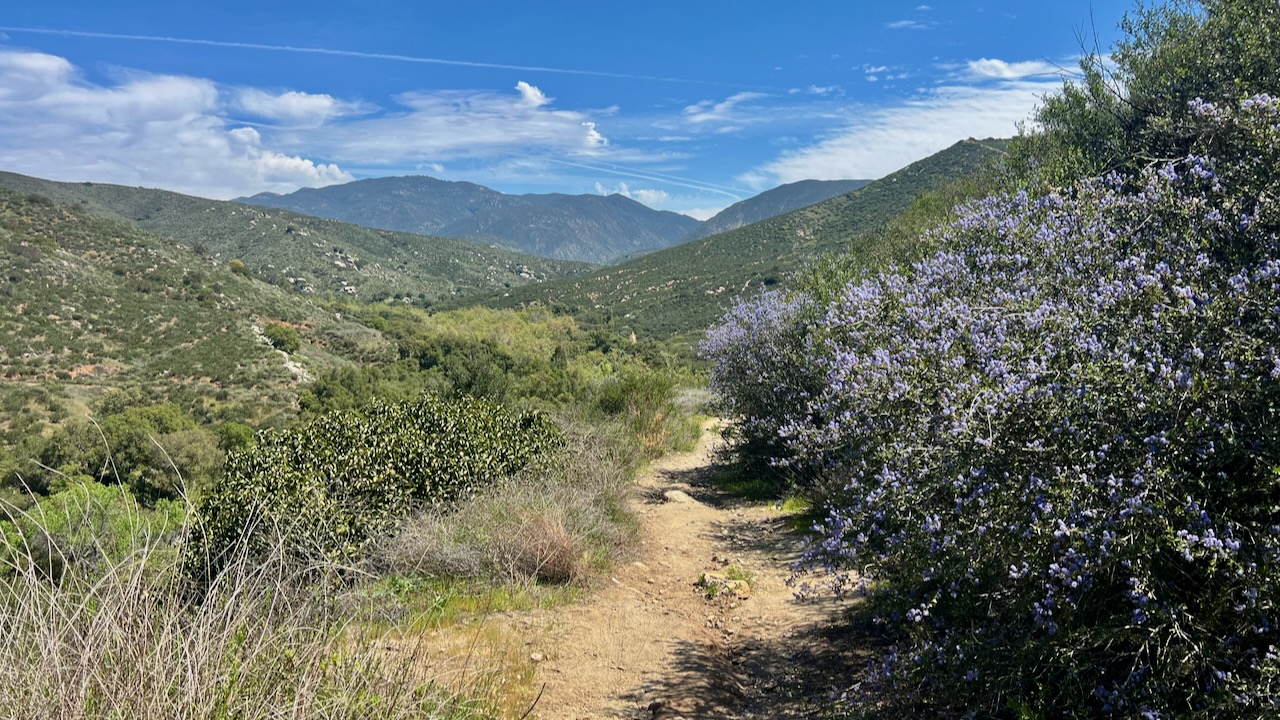 Trail View